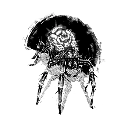 Moon Spider