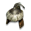 Helm
