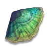 Sea Dragon Scale
