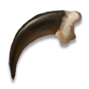 Claw