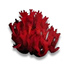 Cave Coral