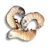 Larvae