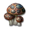 Pox Cap