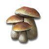 Razorgill
