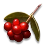 Murkberries
