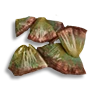 Scales
