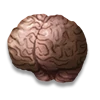 Vithrack Brain