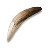 Fang