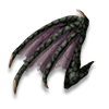 Leathery Wing