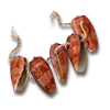 Azata Shell String