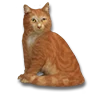 Ginger Demon
