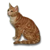 Twix