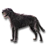 Eviee
