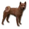 Rasper
