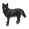 Sheba