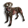 Grave Hound Pup