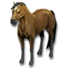 Lucero