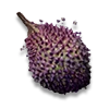 Infested Koīki
