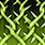 Wall of Thorns