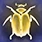 Beetle Shell