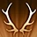 Stag's Horn