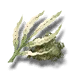 Whiteleaf