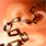 Pain Link